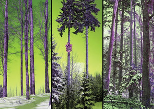 A winter wonderland forest scene consisting of  three side-by-side photos. Pop-art colors give the picture a vivid, contemporary character.  The world-famous cult-object from the Black Forest showcases itself in its original environment. 