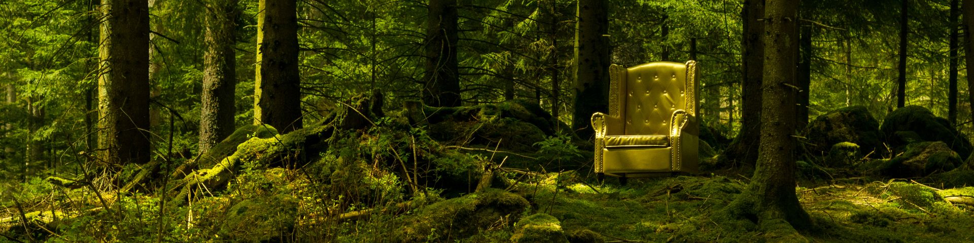 A forest scene. Nature's warm, green colors invite you to stay in this mystic place. A golden chair sits right in the middle of the forest, where it belongs, like a couch in a living room. Whose chair is it? Who sat here?