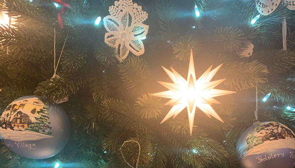 Herrnhuter Moravian Stars