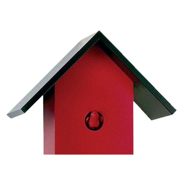 Close-up of CLASSIC red cuckoo clock showing visible carved cuckoo bird and modern design.