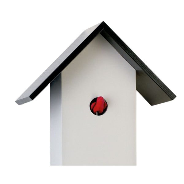 Modern White Birdhouse Cuckoo Clock – Rombach & Haas CLASSIC Collection