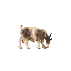 A brown and white goat figurine from the PEMA Kostner Nativity collection, grazing and looking right with a peaceful expression, ideal for completing your nativity scene