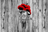 Traditional Cuckoo Clock with Black Forest Bollenhut on Wood