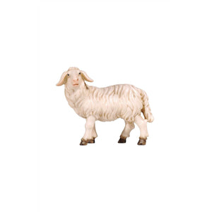 PEMA Nativity Sheep standing (looking left)*