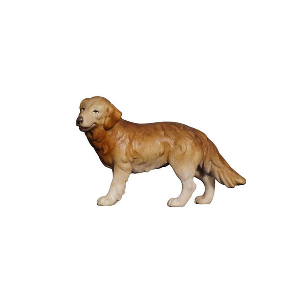 The PEMA Nativity Shepherd Dog is a stunning, handmade, and lifelike golden Shepherd Dog figurine. Its golden fur features various hues, and it is artfully posed looking to the left with a happy expression. This Shepherd Dog statue offers real detail, making it the perfect addition to any nativity set or any dog-lover's collection.