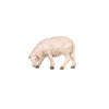 The standing sheep has a thick white wool coat. The head is down looking left. 