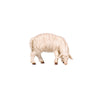The standing sheep with a thick wooly coat is grazing with its head down looking right. 